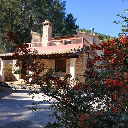 Casa Rural Villa Concha Riópar エクステリア 写真